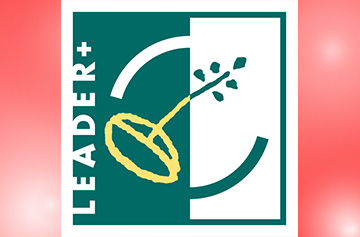 Leader - MADR
